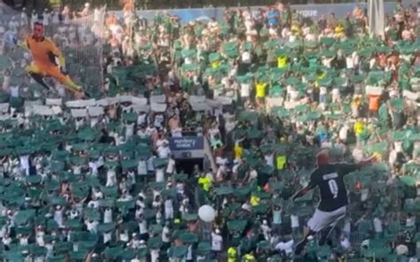 Torcida Do Palmeiras Provoca O Flamengo Mosaico De Gol De Deyverson