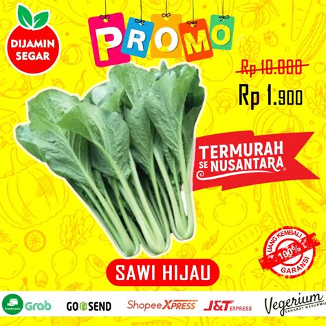 Jual Caisim Sawi Hijau Sayur Sayuran Segar Fresh Gram Indonesia