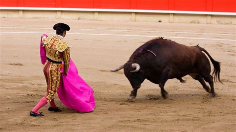 Entradas Festejos Taurinos Sanse SoyDe