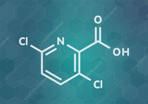 Clopyralid herbicide molecule, illustration - Stock Image - F027/8354 - Science Photo Library