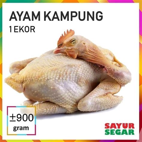 Jual Ayam Kampung 900g Fresh Halal Shopee Indonesia