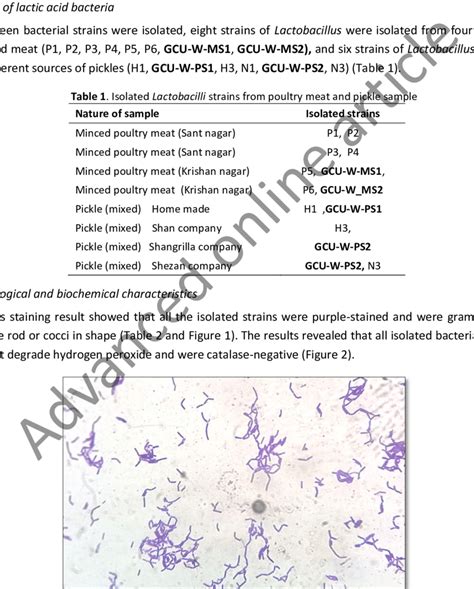 Gram Staining Test Showing Results Of Selected Strains As A Gram