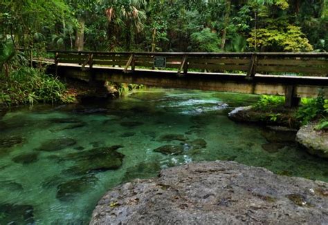 Rock Springs Run State Reserve | Florida State Parks