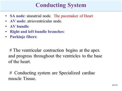 Heart College Of Applied Medical Sciences Department Of Health