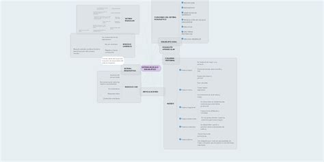 Sistema Musculo EsquelÉtico Mindmeister Mapa Mental