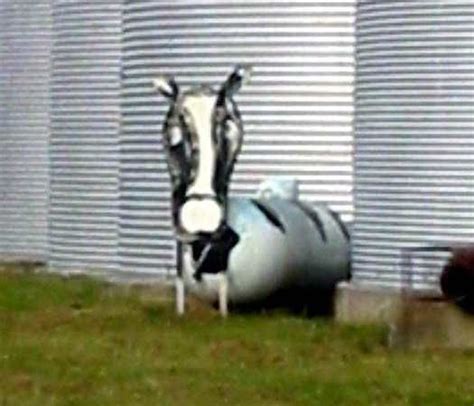 Cow Tank Propane Tank Art Cow Tanks Farm Art