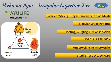 Digestive Fire In Ayurveda