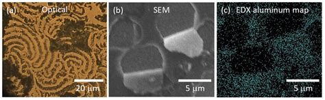 A Optical Microscopy B SEM And C EDX Al Mapping Images Taken