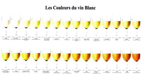 Nuancier Vin Blanc Vin Blanc Vin D Gustation De Vin