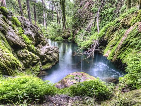 Лес, каменные склоны, ручей - обои для рабочего стола, картинки, фото
