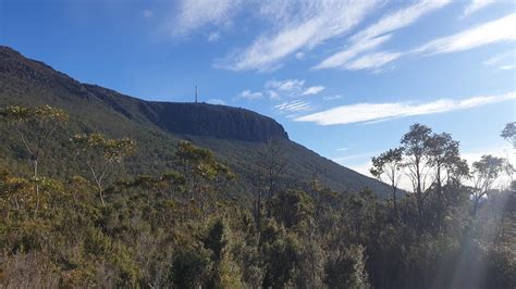 Mount Wellington Hike