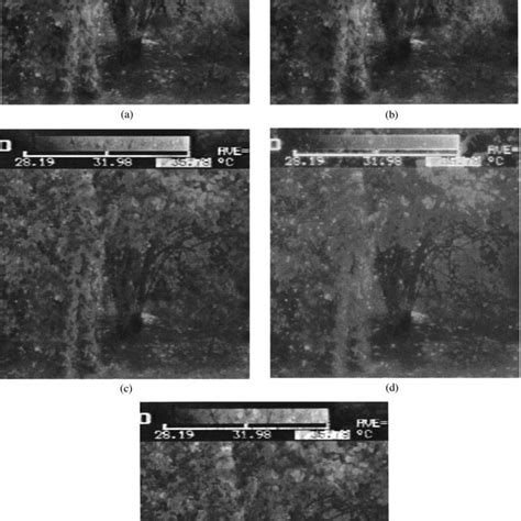 Fusion Results Of Fig 4 Using Different Methods Download Scientific Diagram