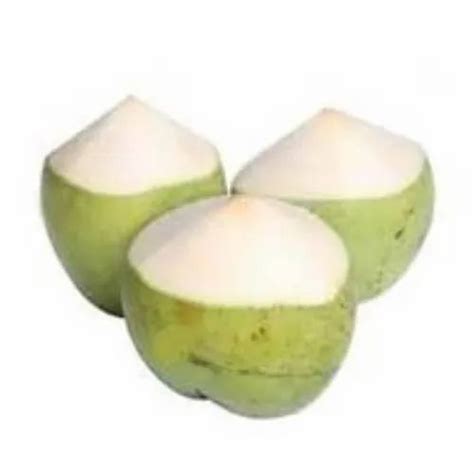 Tender Coconut In Kochi Latest Price Mandi Rates From Dealers In Kochi