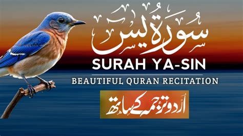 Surah Yasin Yaseen Surah Yaseen With Urdu Translation Episode 104