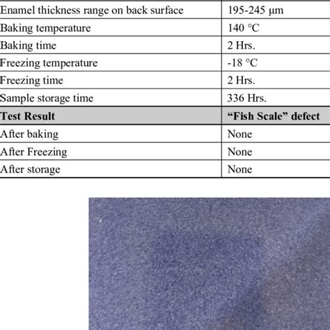 1 Fish Scale Test Specifications and Results | Download Scientific Diagram