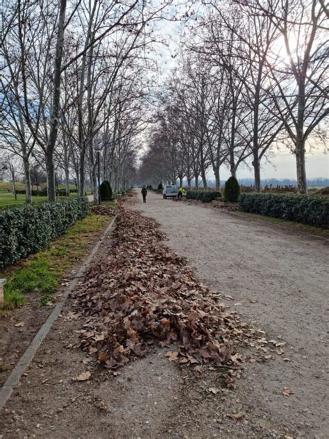 Trabajos De Mantenimiento Y Limpieza En El Paseo De Los Chopos