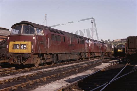 Rail Online Class 52 Western D1057 1964 07 12 Bristol Bath Road