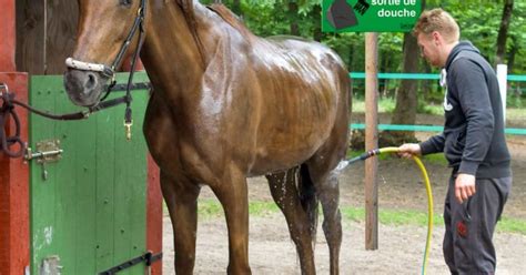 Panneau ramassez vos crottins à votre sortie de douche