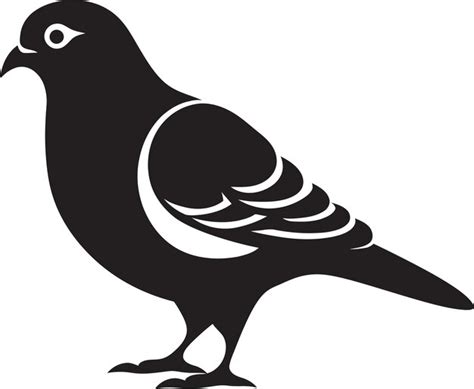 Premium Vector Noble Pigeons In Vector Grace And Elegance Captured