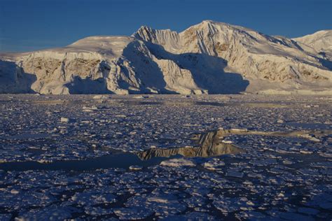 Wilhelmina Bay (Tues., 5/25/10) – Farewell Wilhelmina Bay | Tagging Whales in the Antarctic Seas