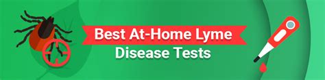 Best At Home Lyme Disease Tests In