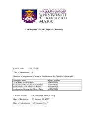 Ex Chemical Equilibrium Docx Lab Report Chm Physical Chemistry