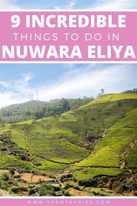 Best Places To Visit In Nuwara Eliya