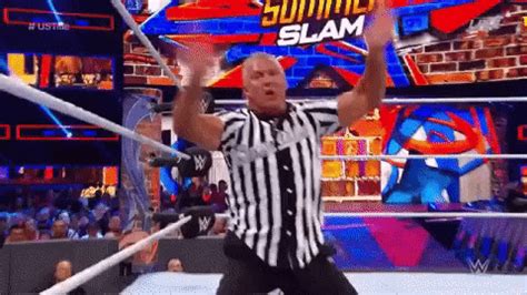 Shane Mcmahon GIFs - Find & Share on GIPHY