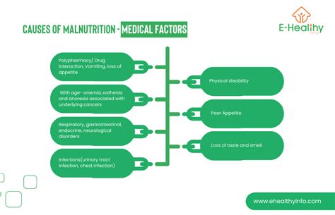 Breaking Down Malnutrition Understanding The Causes Symptoms And