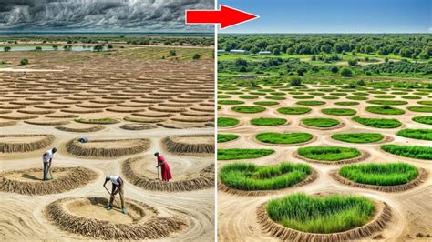 Transformar Deserto Do Saara Em Terras F Rteis Cpg Click Petroleo E Gas