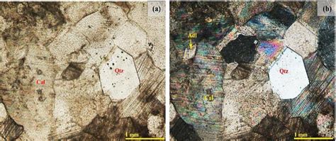 Quartz Thin Section