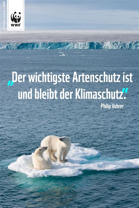 Zitat Zum Sonntag Setzt Ein Zeichen F R Mehr Klimaschutz Wwf De