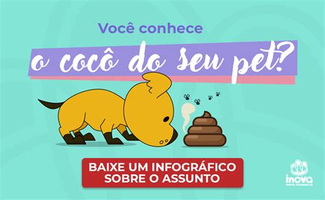 Cachorro Fezes Gelatinosa Sangue Inova Veterin Ria