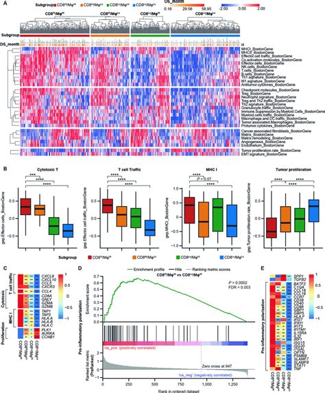 Distinct Tme In Four Signature Defined Subgroups In The Gep Bep A