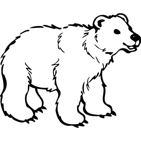 Young Polar Bear Png Svg Clip Art For Web Download Clip Art Png