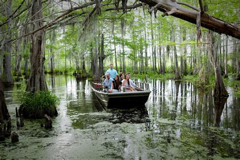 The Northshore St Tammany Parish Tour Louisiana