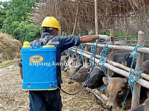 Detail Berita Website Balai Karantina Pertanian Kelas I Kupang