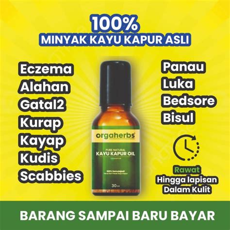 Penawar Semulajadi Eczema Psoriasis Kurap Kudis Kayap 100 Asli