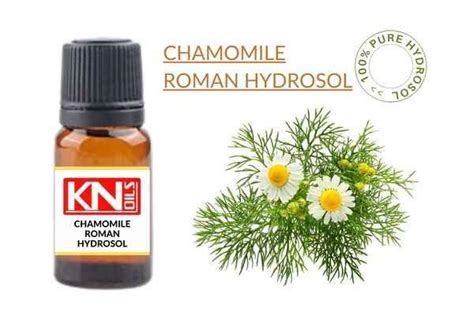 CHAMOMILE ROMAN HYDROSOL Buy 100 Pure HYDROSOLS