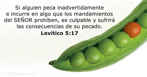 Levítico 5 17 Versículo de la Biblia DailyVerses net