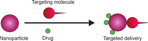 Nanoparticle in drug delivery system. Source: http://... | Download Scientific Diagram