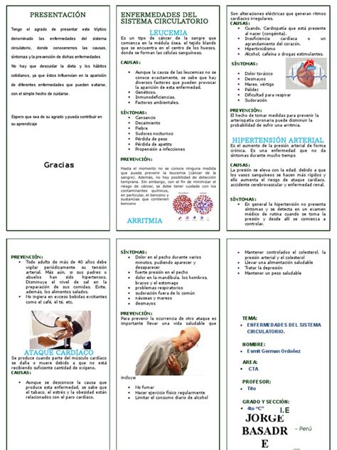 PDF Triptico Enfermedades Sistema Circulatorio DOKUMEN TIPS