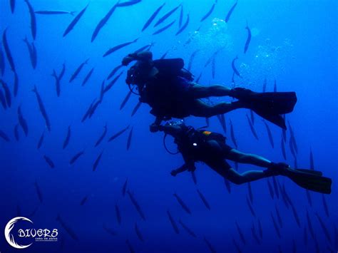 PADI Scuba Diver Divers Cabo De Palos