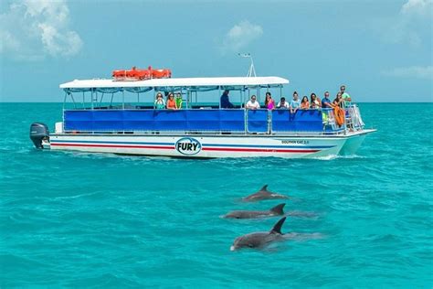 Tour De Avistamiento De Delfines Y Snorkel En Cayo Hueso Hellotickets