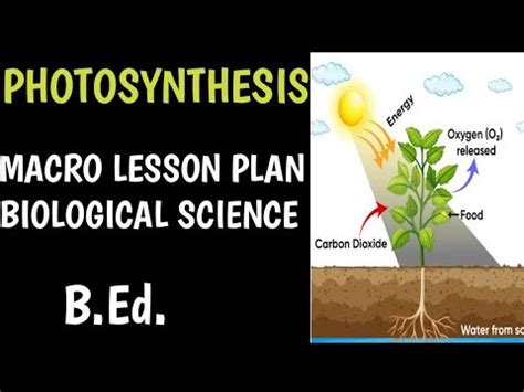 Biological Science Lesson Plan On Photosynthesis B Ed In English