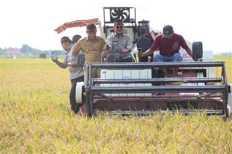 Panen Raya Perdana Padi Di Karawang Hasilnya Melimpah Mentan SYL Luar