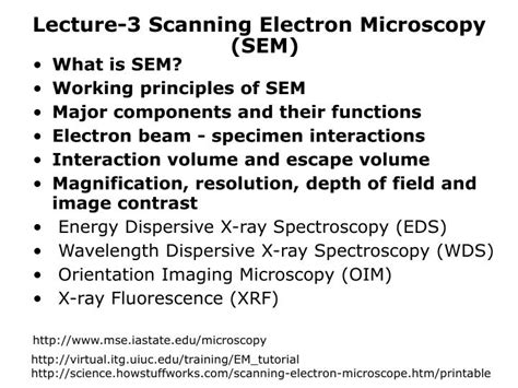 Ppt Lecture Scanning Electron Microscopy Powerpoint Presentation