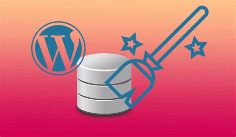 Nettoyer Et Optimiser La Base De Donn Es Wordpress Facilement