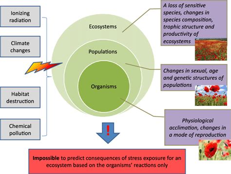 Effect of radiation-induced alterations in ecosystems. | Download ...