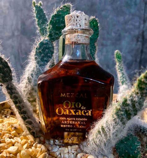 Mezcal Oro De Oaxaca Una Bebida Con Historia Y Tradici N